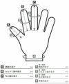 平安弓具オリジナル ゆがけ 与一（よいち）全体