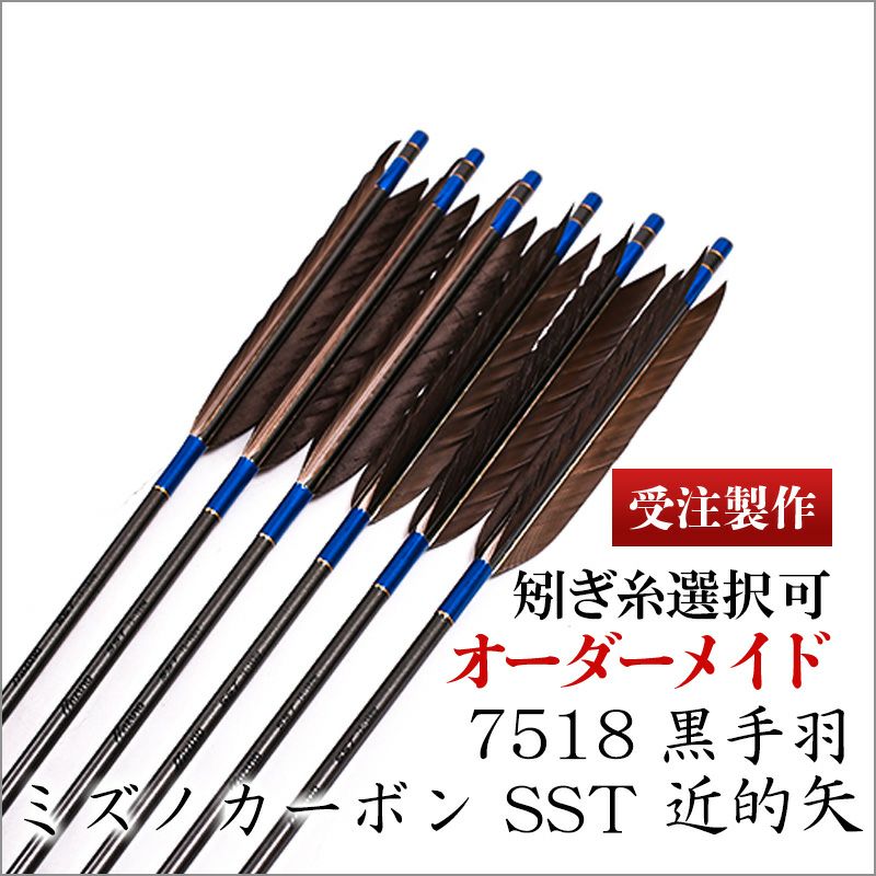 値下げ】矢 MIZUNOカーボン 鷲 尾羽 見にくく 矢筒付き